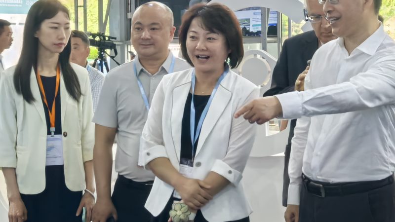 上海丰田配件批发：揭秘优质配件的选品之道